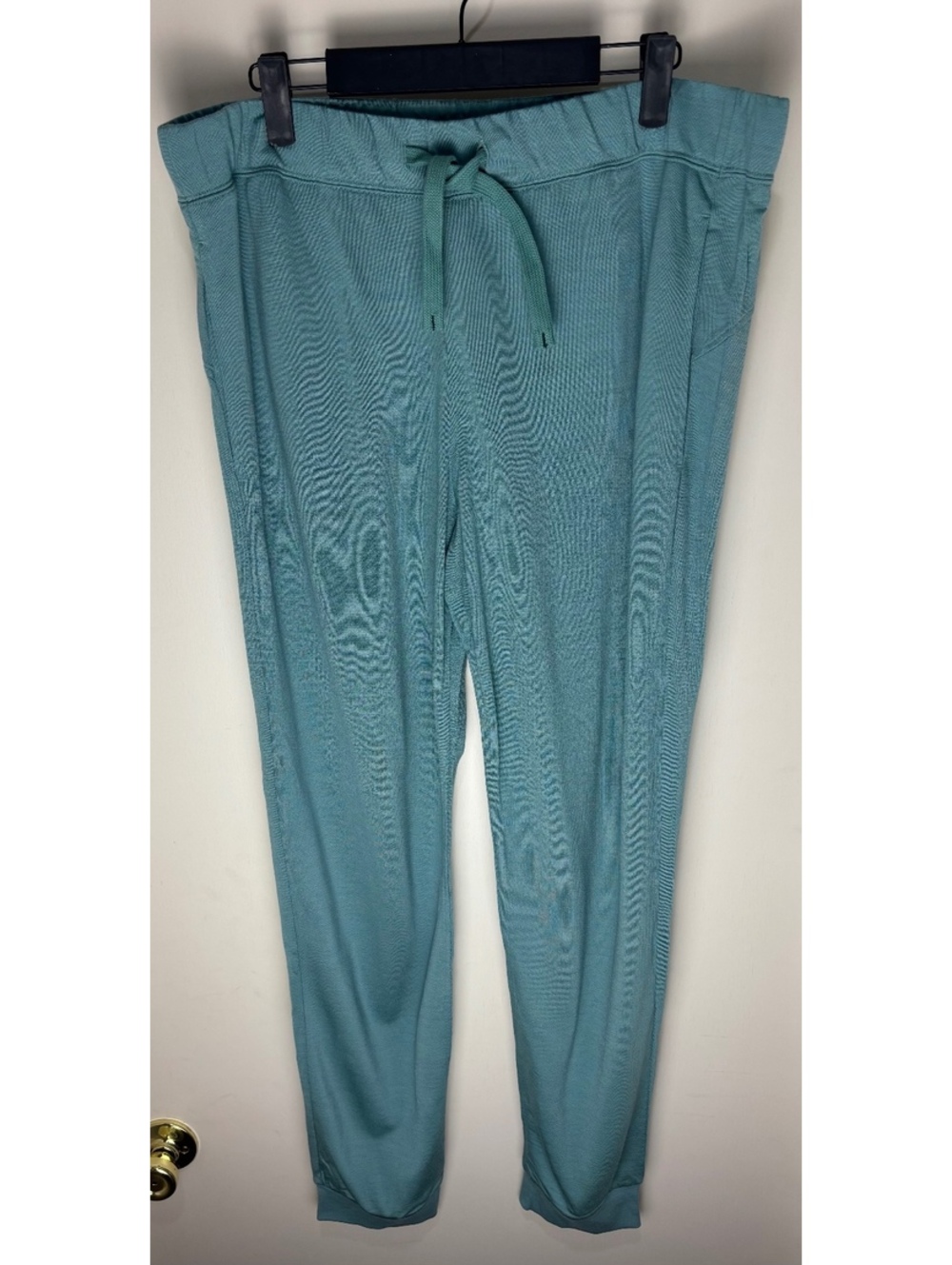 Icebreaker Mens L Merino Shifter II Pants Cloud Ray Jogger Wool NWT